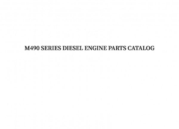 TSS Diesel TDR-K 25 4L