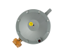 РДСГ—1—1.2